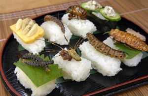 Edible insects sushi