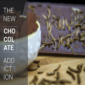 chocolate with edible insects