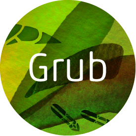 Eat Grub entomophagy