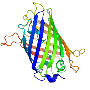 The Future of Protein Extraction from Edible Insects